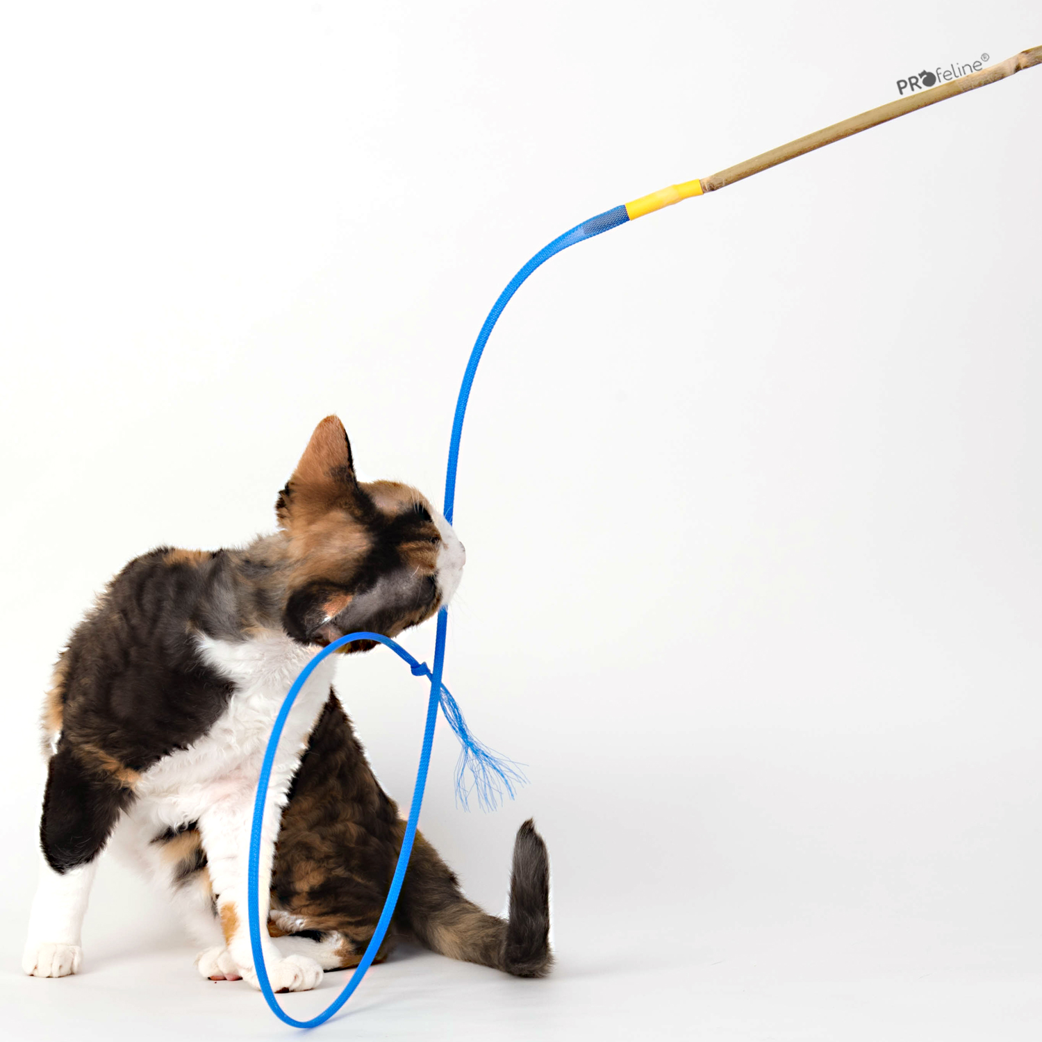 Katzenangel aus Bambus Boinks Bamboozler aus den USA-bamboozler aus den USA